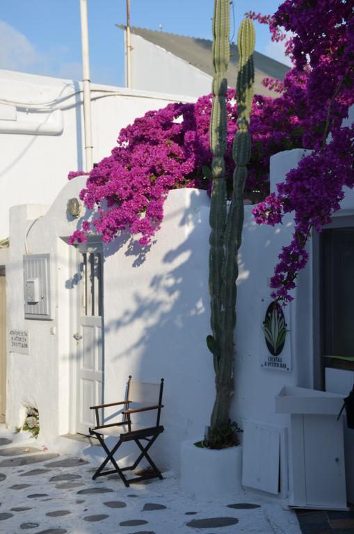 Mykonos Town White And Grey Chora 아파트 외부 사진