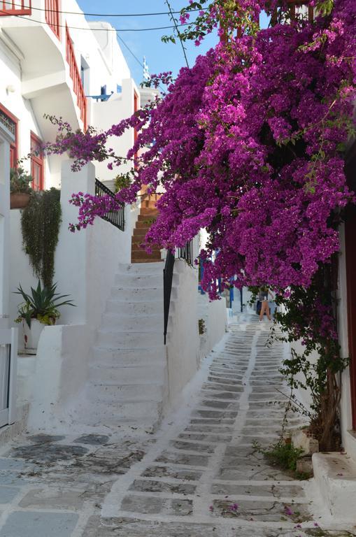 Mykonos Town White And Grey Chora 아파트 외부 사진